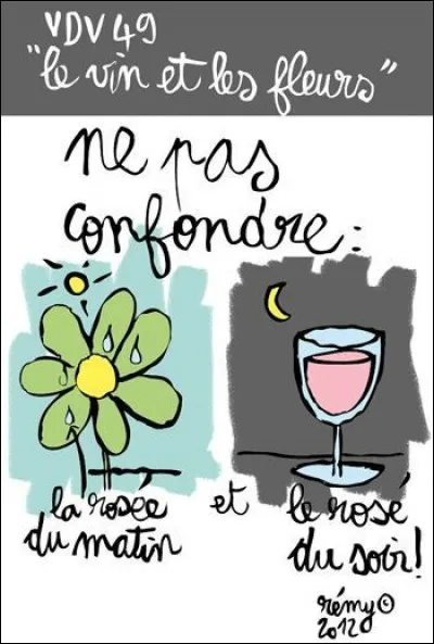 SVT : Sur quoi se dépose le pollen pour former une graine ?