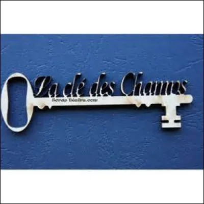 Que fait un prisonnier qui prend la clé des champs ?