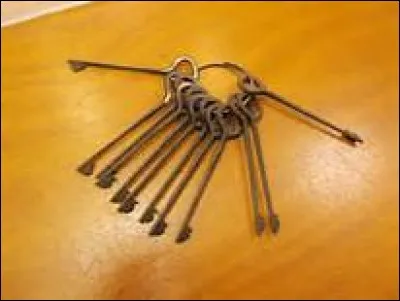 Comment s'appelle ce crochet ressemblant à une clé et servant à crocheter les serrures ?