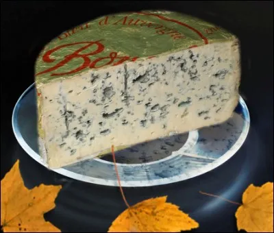 Comment est son homonyme pour Luc Besson ?