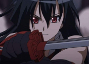 Quiz Akame Ga Kill