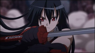 Murasame est la première arme d'Akame. 
(2 réponses possibles)