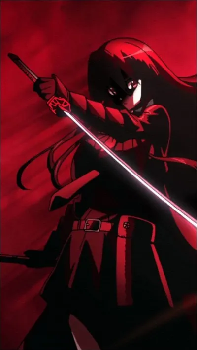 Night Raid a pour chef :