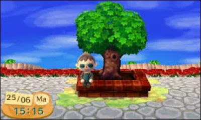 ACNL 5 - Qui installe sa tente sur la place ?