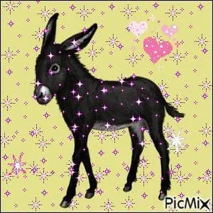 Qu'est qu'un mulet ?