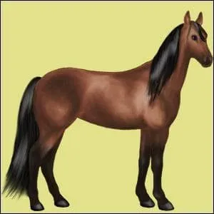Quelle est la couleur de la robe de ce cheval ?