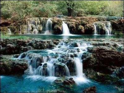 Aimes-tu te mouiller les pattes ?