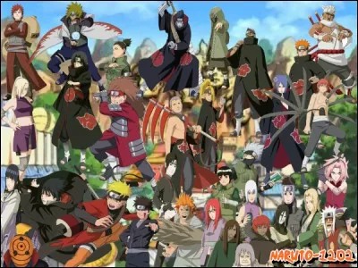 Comment s'appelle l'organisation criminelle ?