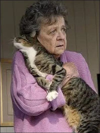 Qui sauvera la vie des Scavo lors de la tornade de Wisteria Lane ?