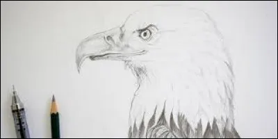 Elle prend des cours de __.