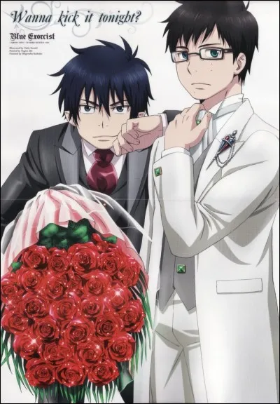 Qui est le plus grand entre Rin et Yukio ? (Pas de l'âge)