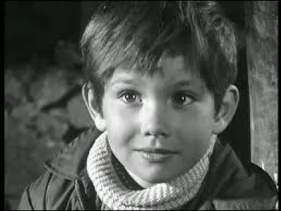 Quelle était la race du chien qui accompagnait le jeune garçon dans la série ''Belle et Sébastien'' ?