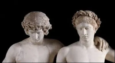 Dans la mythologie grecque, quelle est la particularité des jumeaux Castor et Pollux ?