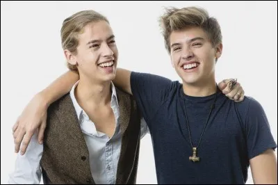 Dans quelle série n'a-t-on pas pu voir les jumeaux Cole et Dylan Sprouse ?