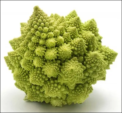 Ce légume n'est guère appétissant...