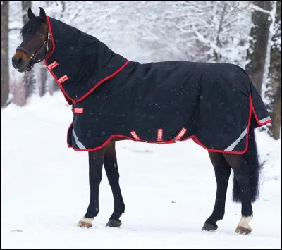 Quel est l'équipement du cheval que l'on met lorsque le cheval n'a pas ses poils d'hiver et qu'il fait froid ?