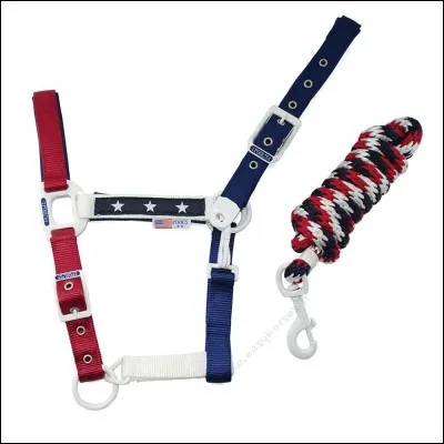 Quelle partie du licol n'existe pas ?