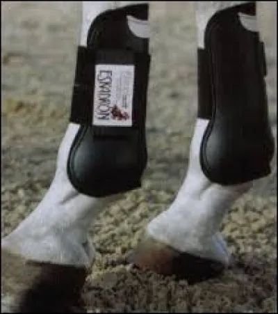 Soins - Quelle protection protège le tendon antérieur ?