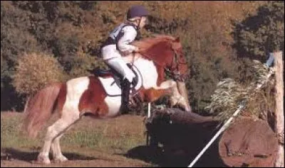 Galop 1 : connaissances - Que veut dire CCEP ?