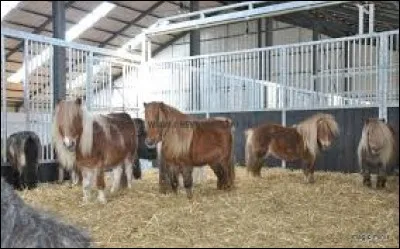 Soins - Qu'est-ce qu'une stabulation ?