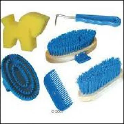 Soins & connaissance - Quelle est la bonne réponse pour effectuer un pansage complet avant le travail ?