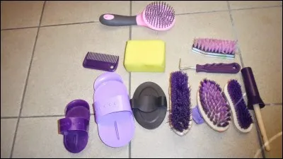 Quel objet ne fait pas partie des brosses de pansage ?