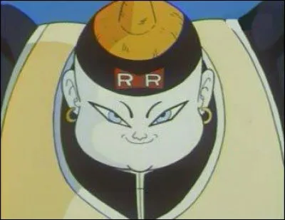 Quelle est la particularité de ce cyborg ?