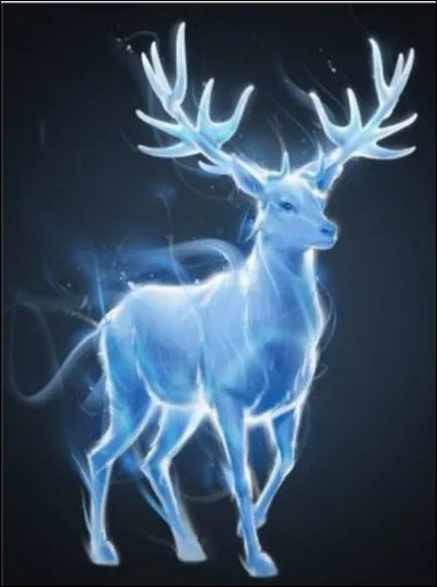 À quoi sert un patronus ?