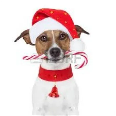 Quel est le nom du bonbon de Noël se trouvant dans la gueule du chien ?
