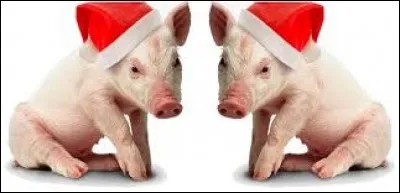 Quels animaux voyez-vous sur l'image ?