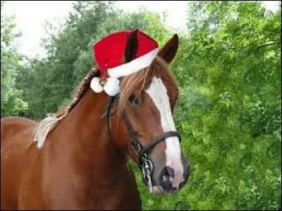 Quel est cet animal qui fête Noël avec nous ?