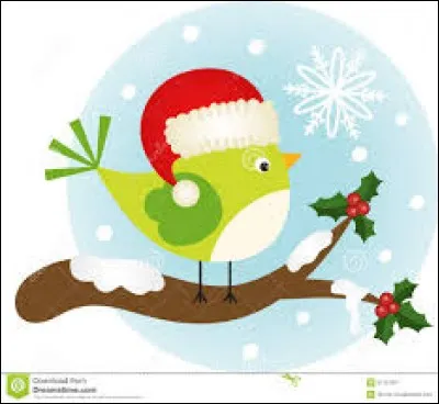 De quelle couleur l'oiseau est-il ?