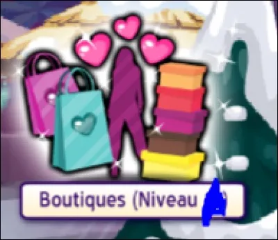 À quel niveau peut-on aller dans la boutique ?