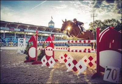 Quelle est cette discipline équestre ?