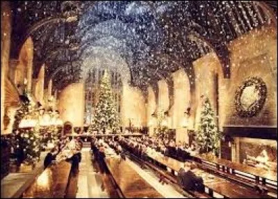 Quelle fille de Harry Potter, d'après toi, est le plus en accord avec Noël ?