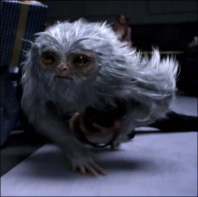 Quel est le nom de cette créature ?