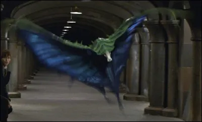 Quel est le nom de cette créature ?