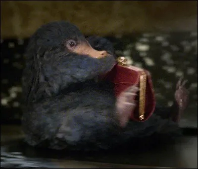 Quel est le nom de cette créature ?