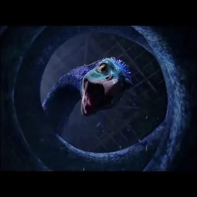 Quel est le nom de cette créature ?