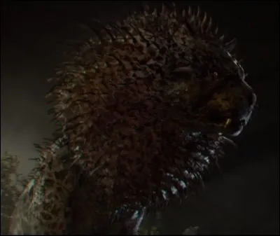 Quel est le nom de cette créature ?