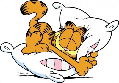 Garfield - Comment s'appelle le maître de Garfield et Odie ?