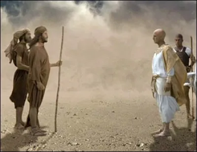 Dieu ordonna à ce patriarche d'abattre dix plaies sur l'Égypte. Qui est-il ?