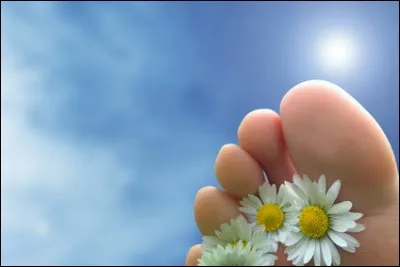 Selon l'expression populaire, quand on se prélasse, on a "les doigts de pied en...".