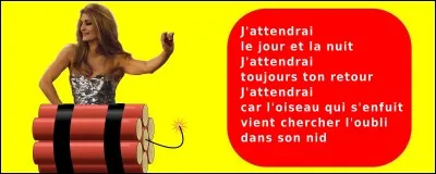 Quel est le bon choix ?