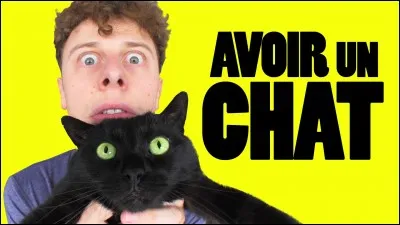 Son chat s'appelle...