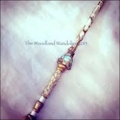 Qui a voulu prendre la baguette alors qu'elle était protégée par un système magique antivol ?