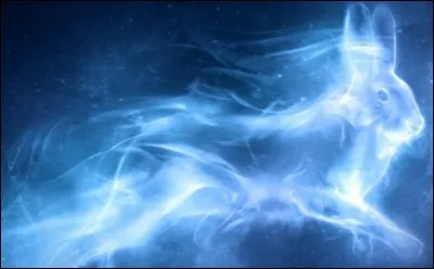 Quel patronus voudrais-tu ?