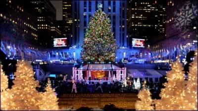 Lors de leur arrivée dans ce qui allait devenir plus tard une ville, les colons la baptisèrent Nouvelle Néerlande !