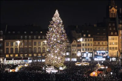 Si vous trouvez, vous êtes dans les choux, sous le regard bienveillant des cigognes !