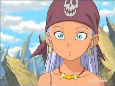J'ai un bandeau de pirate mais je ne suis pas de "One Piece", je suis issu de :